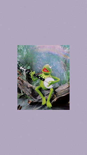 Aesthetic Kermit - Live Every Day To The Full Background