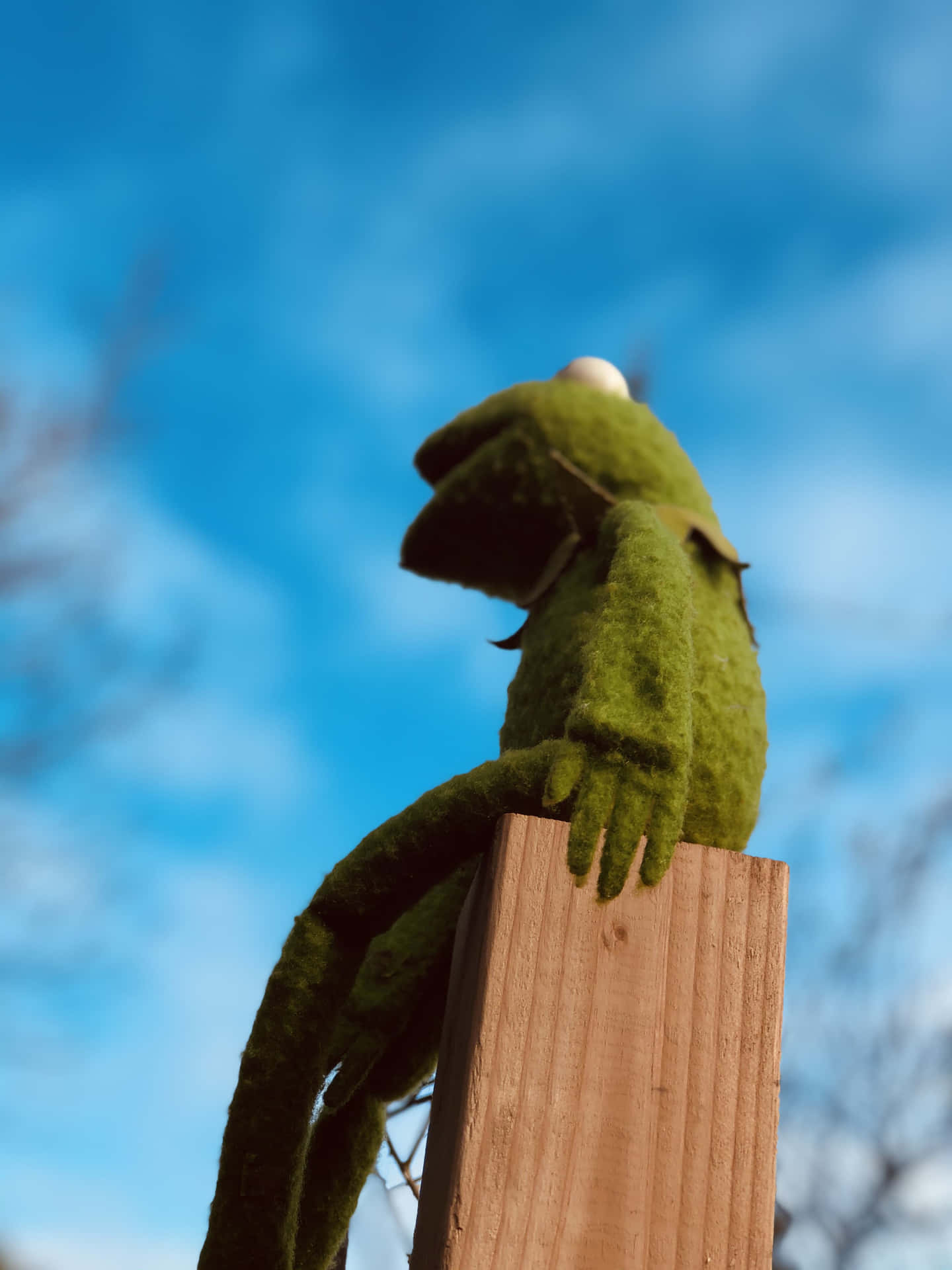 Aesthetic Kermit On Wooden Post Background