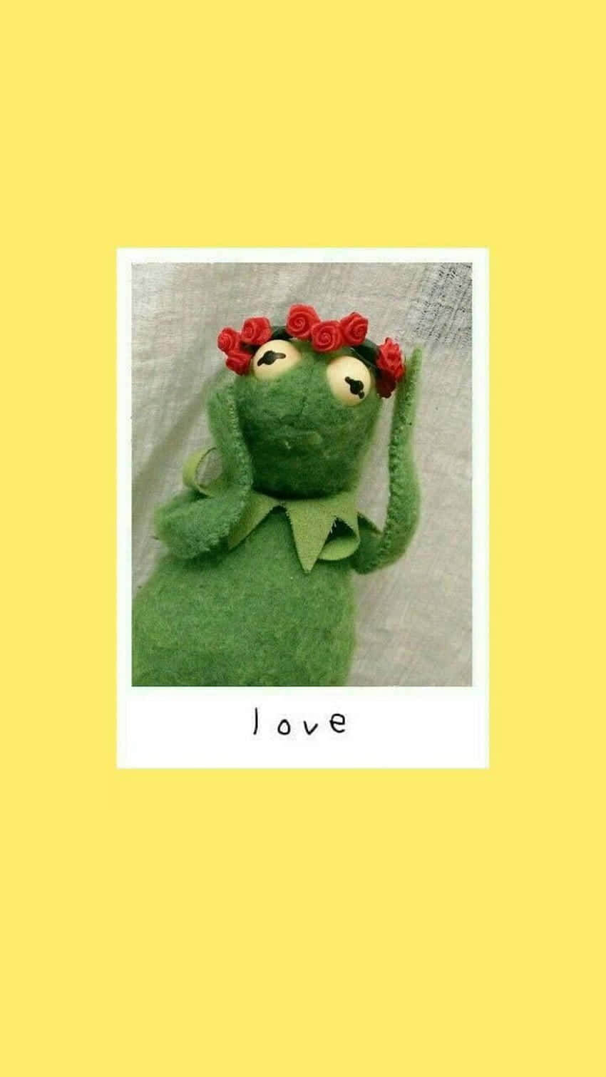 Aesthetic Kermit Wearing Flower Crown Background