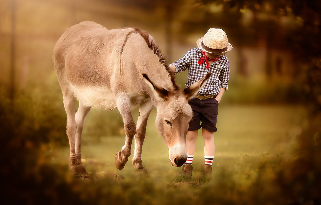Aesthetic Kid And Donkey Background