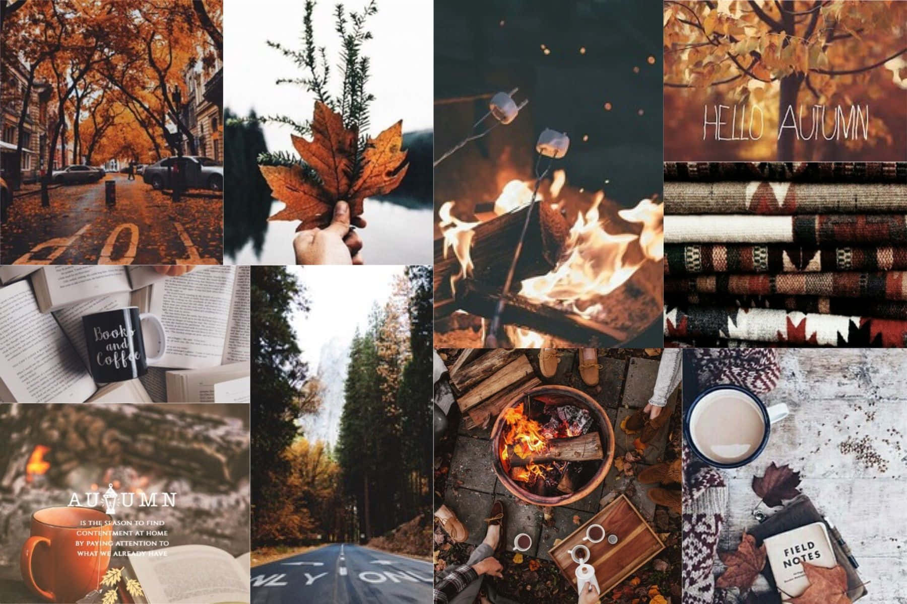 Aesthetic Laptop Collage Autumn Season Background