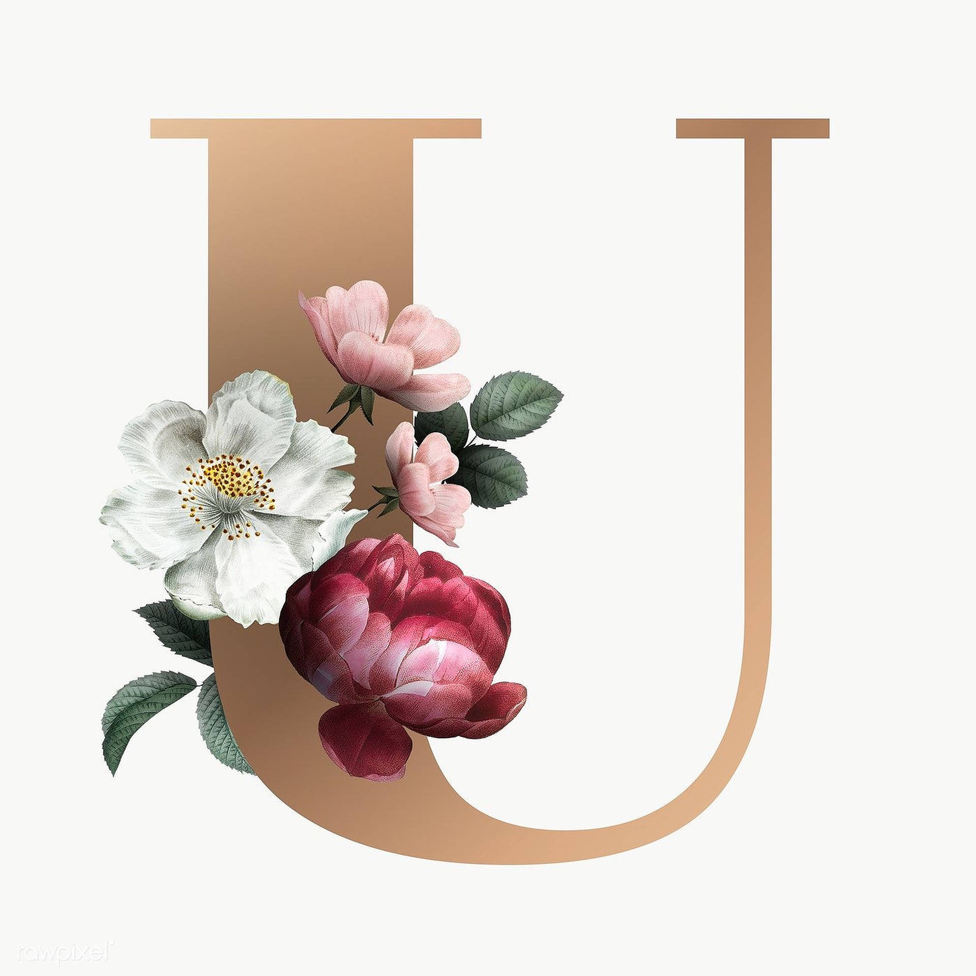 Aesthetic Letter U Background