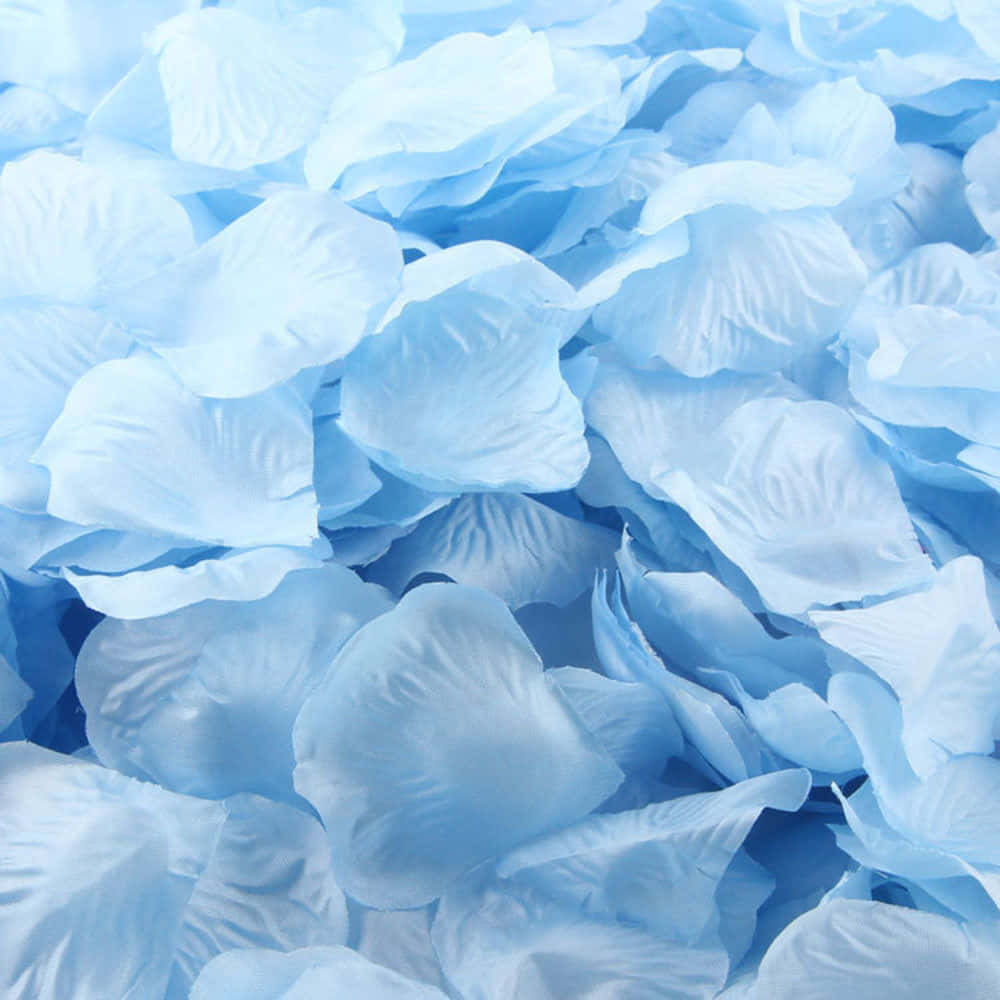 Aesthetic Light Blue Flower Petals Background
