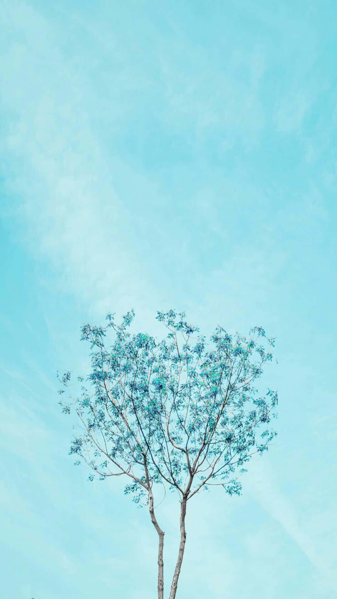 Aesthetic Light Blue Thin Tree
