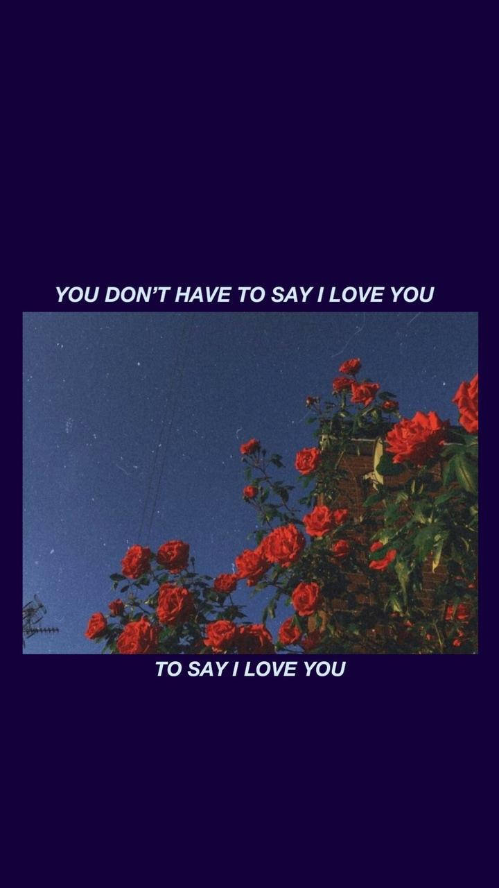 Aesthetic Love Say I Love You Roses Background