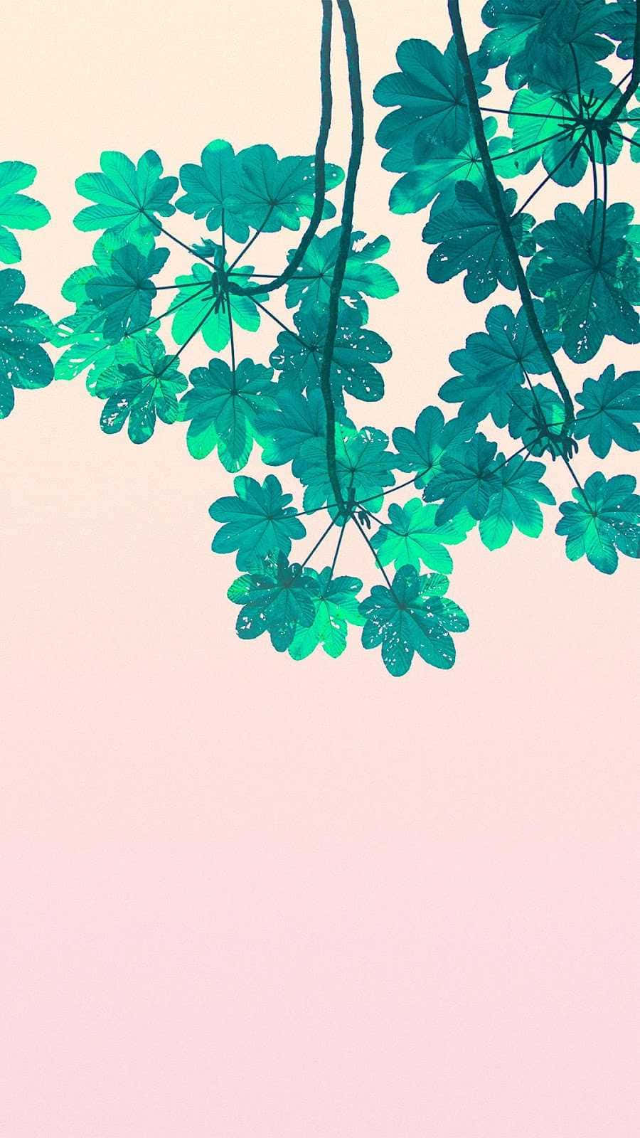 Aesthetic Minimalist Iphone Wallpaper Background
