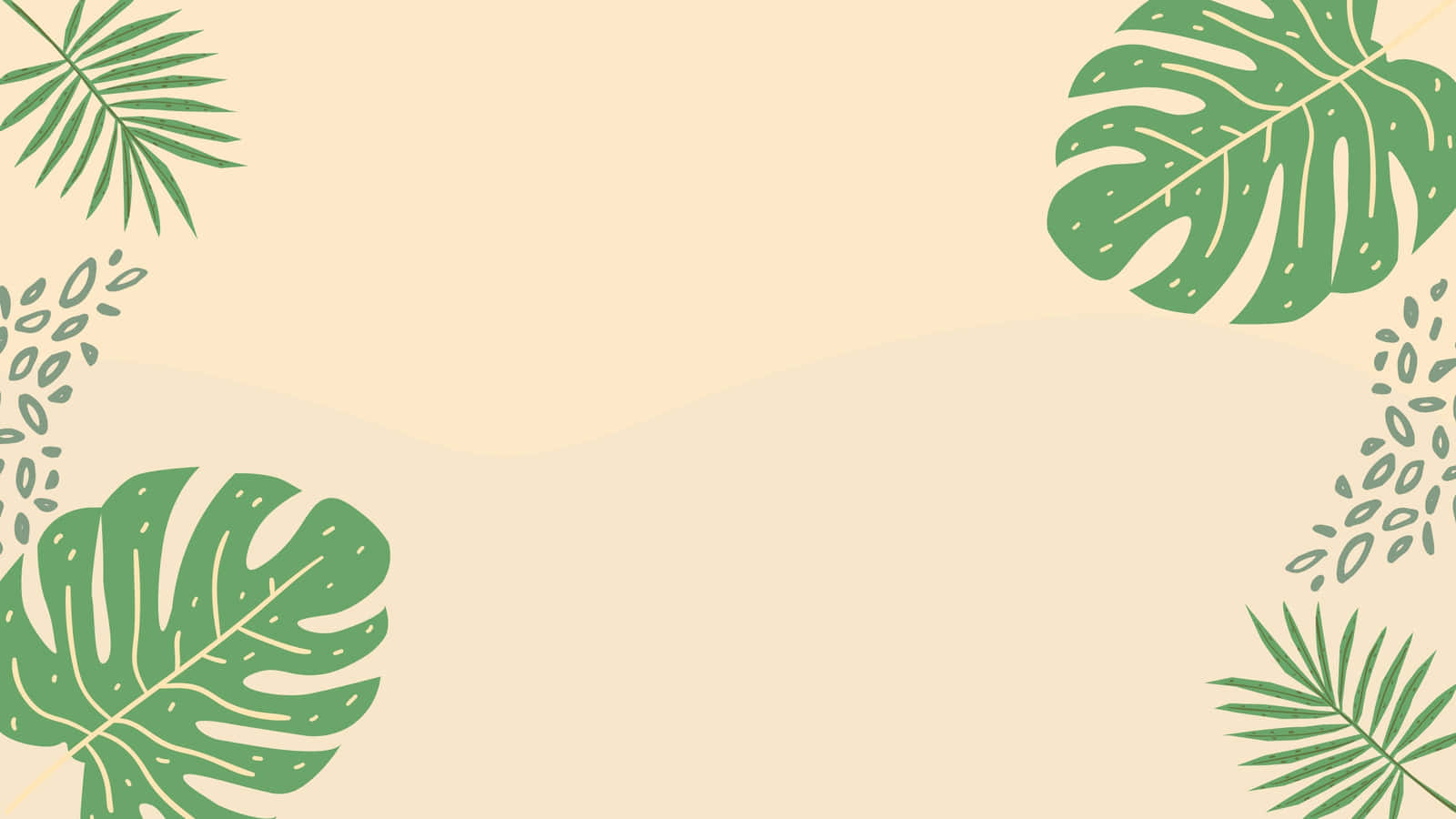 Aesthetic Monstera Cute Plant Background