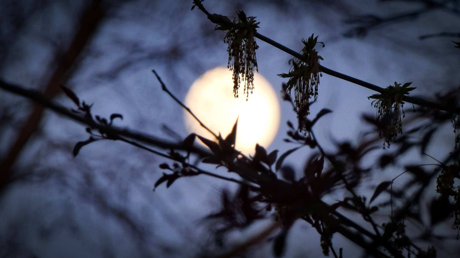 Aesthetic Moon Glowing In The Night