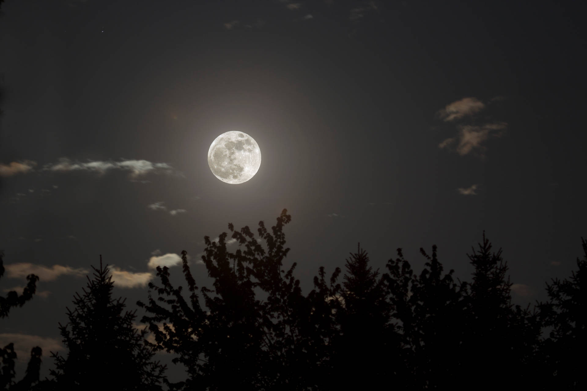 Aesthetic Moon In Silent Night