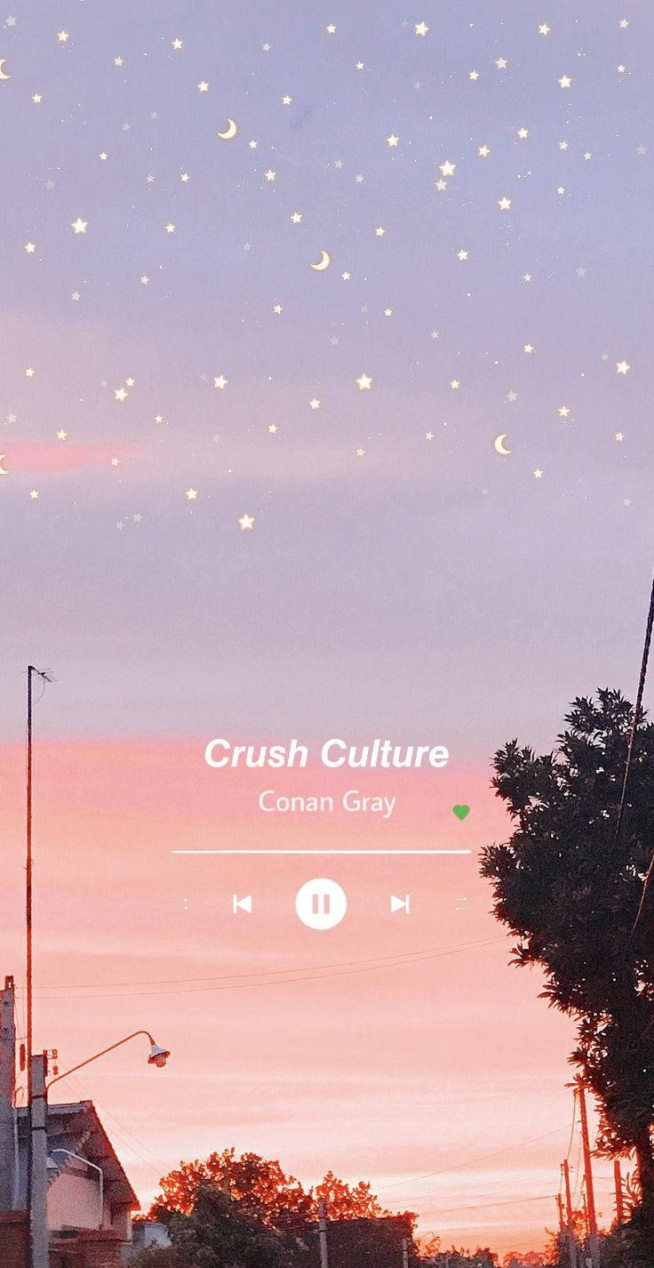 Aesthetic Music Of Crush Culture By Conan Gray Background