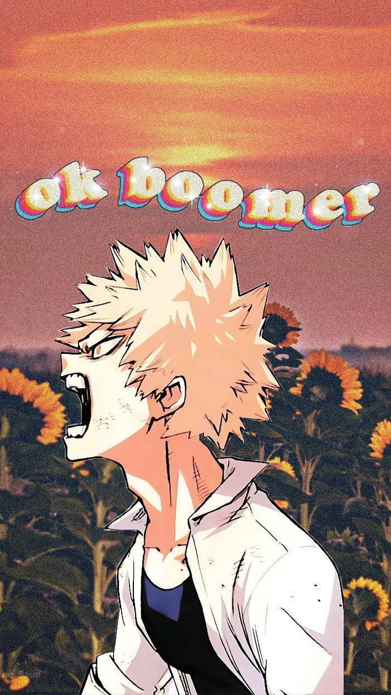 Aesthetic My Hero Academia Katsuki Bakugo Ok Boomer