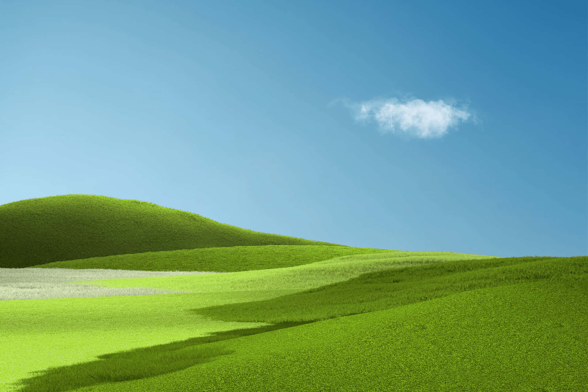 Aesthetic Nature With A Green Meadow Background