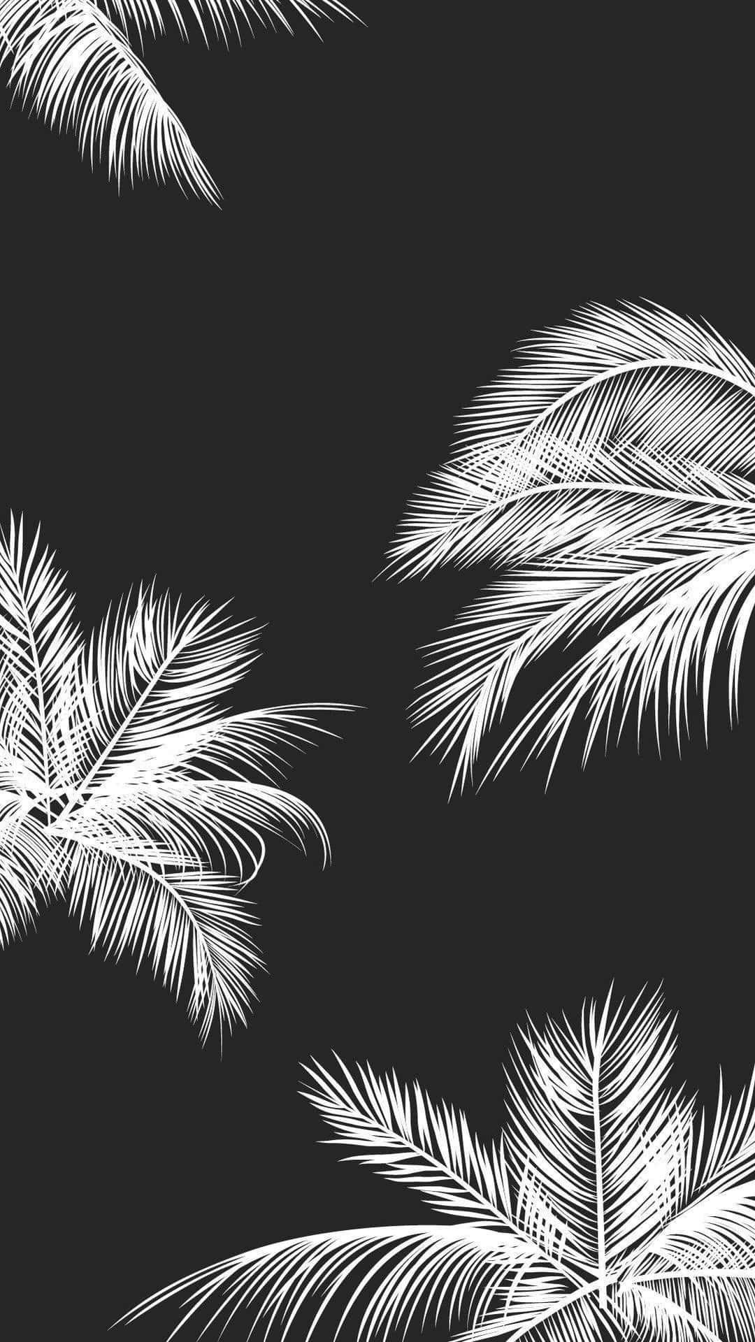 Aesthetic Palm Leaves Black And White Background