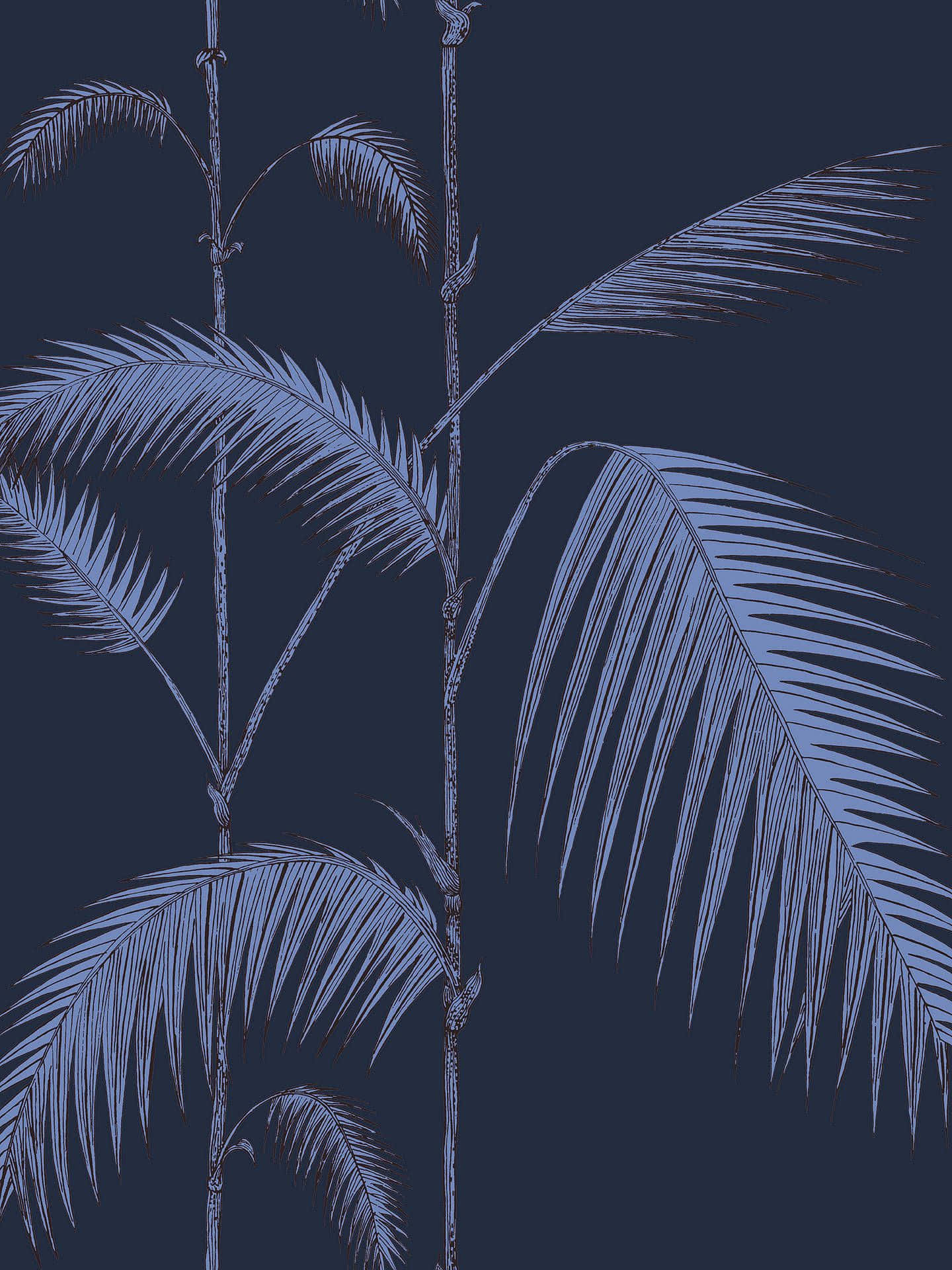 Aesthetic Palm Leaves Dark Art Background