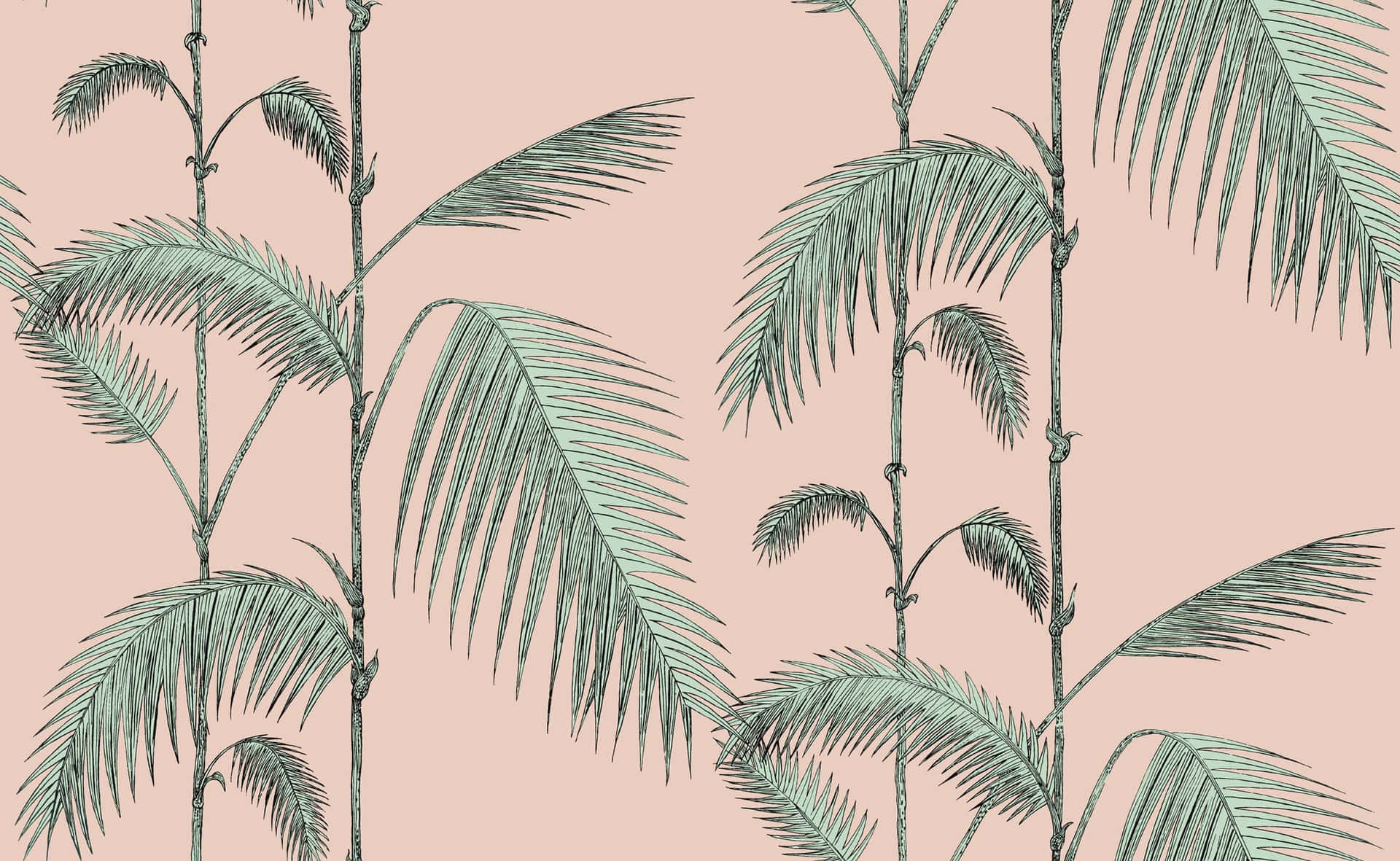 Aesthetic Palm Leaves Plain Art Background