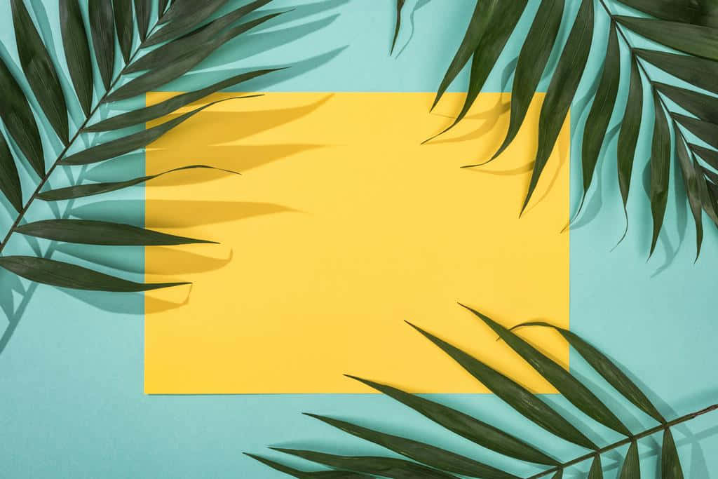 Aesthetic Palm Leaves With Yellow Square Background