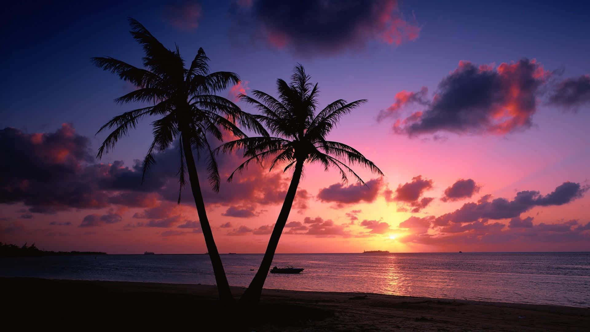 Aesthetic Palm Trees Beach Sunset Purple Sky Background