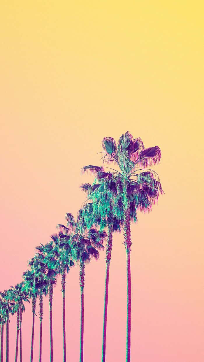 Aesthetic Palm Trees Yellow Sky