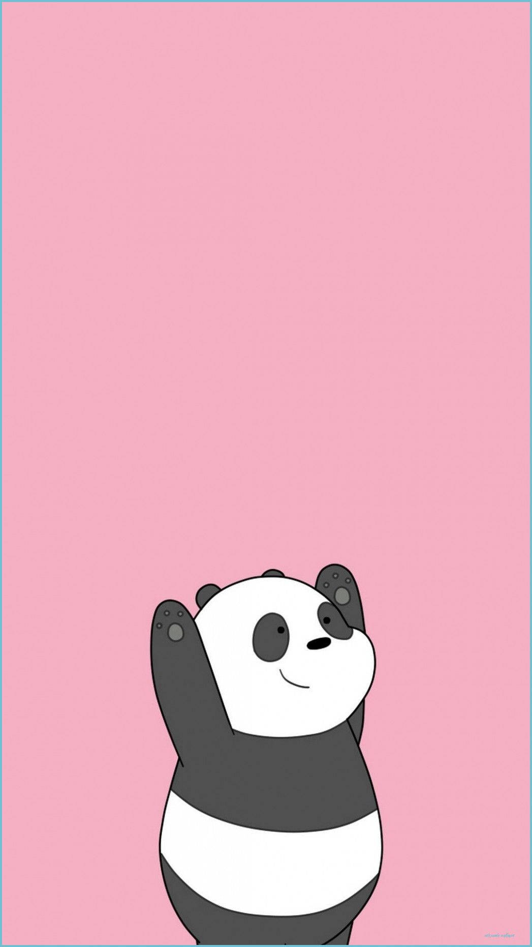 Aesthetic Panda Bear Arms Up Background