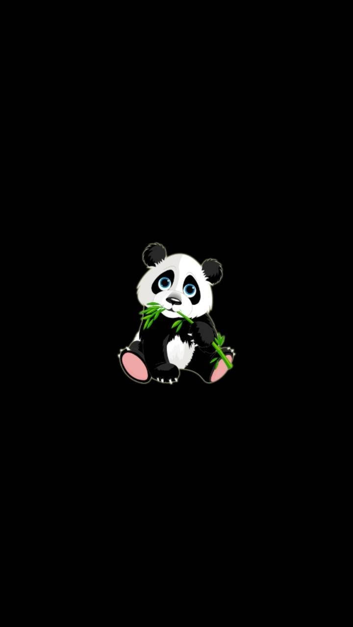 Aesthetic Panda Eating Bamboo Background