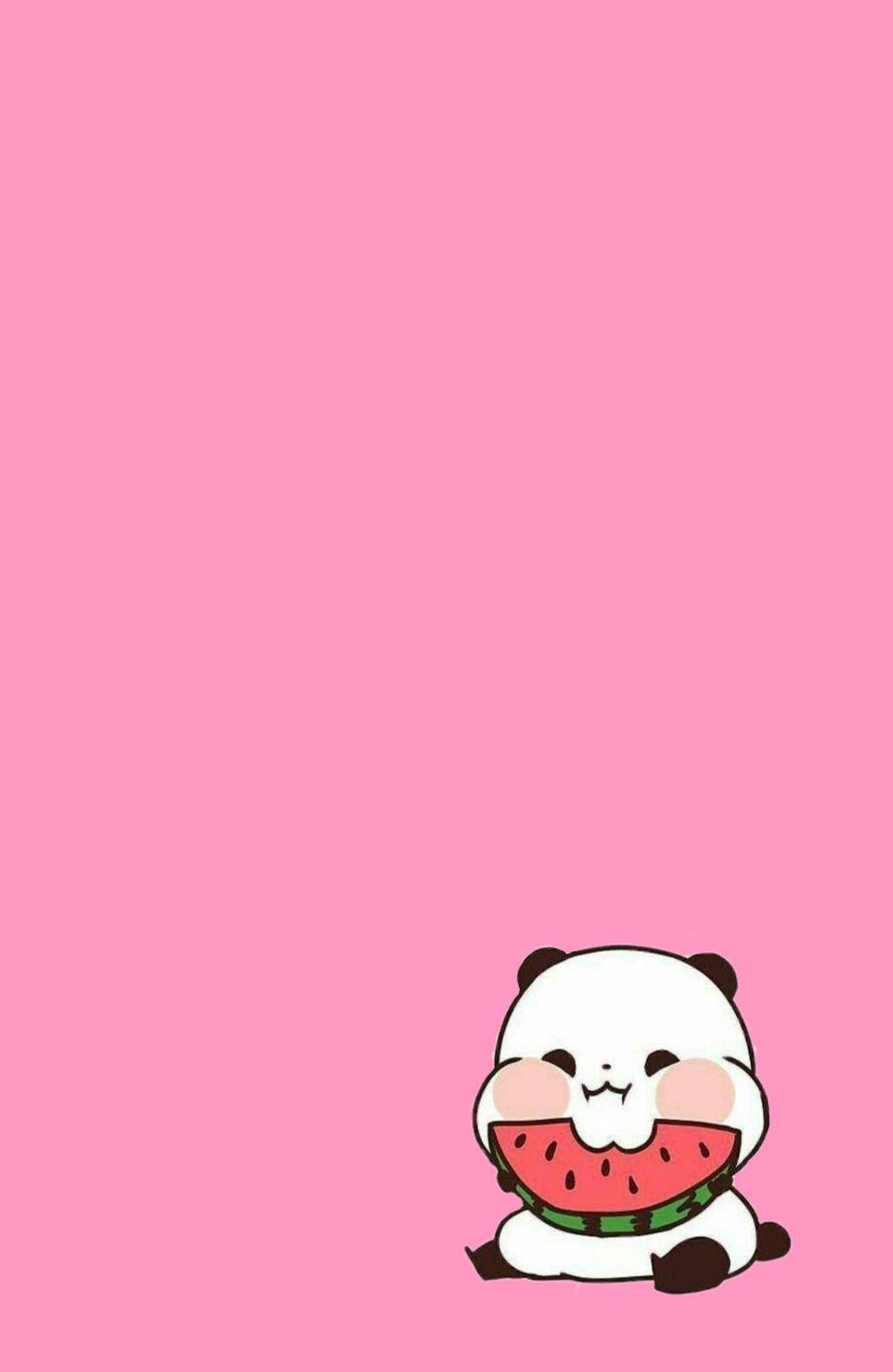 Aesthetic Panda Eating Watermelon Background