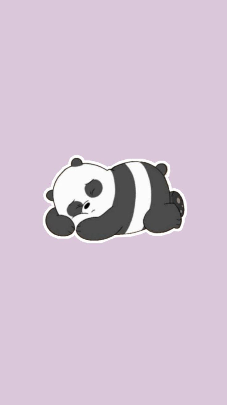 Aesthetic Panda Sleeping Background