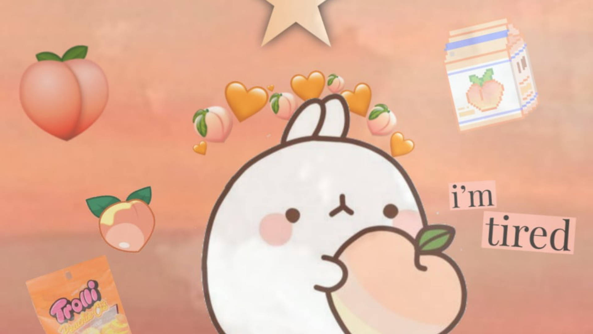 Aesthetic Peach Molang Laptop