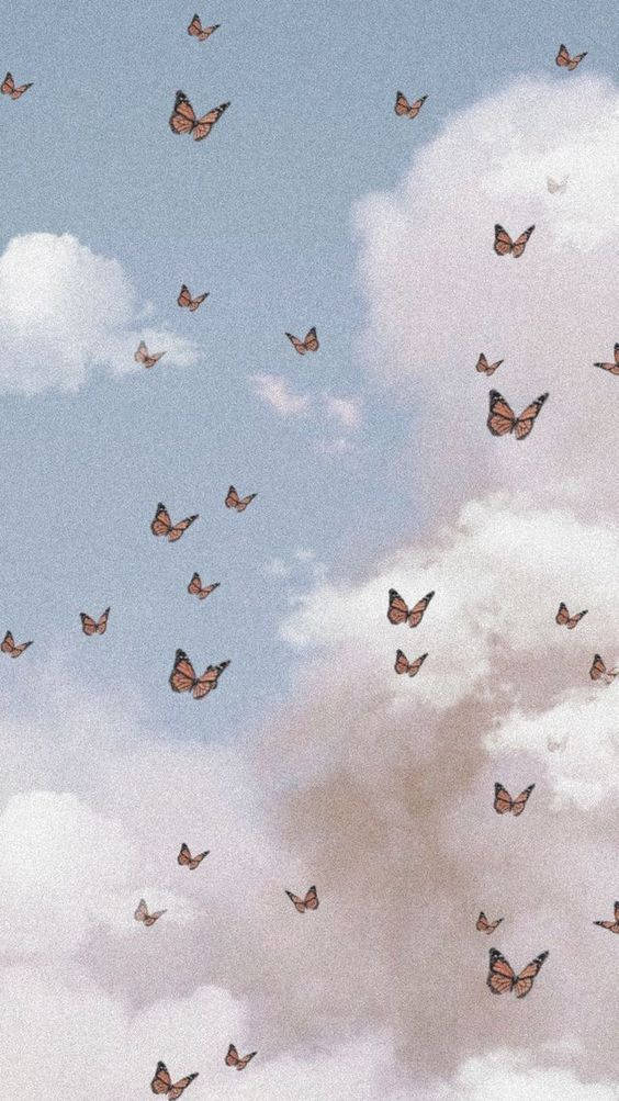 Aesthetic Phone Butterflies Background