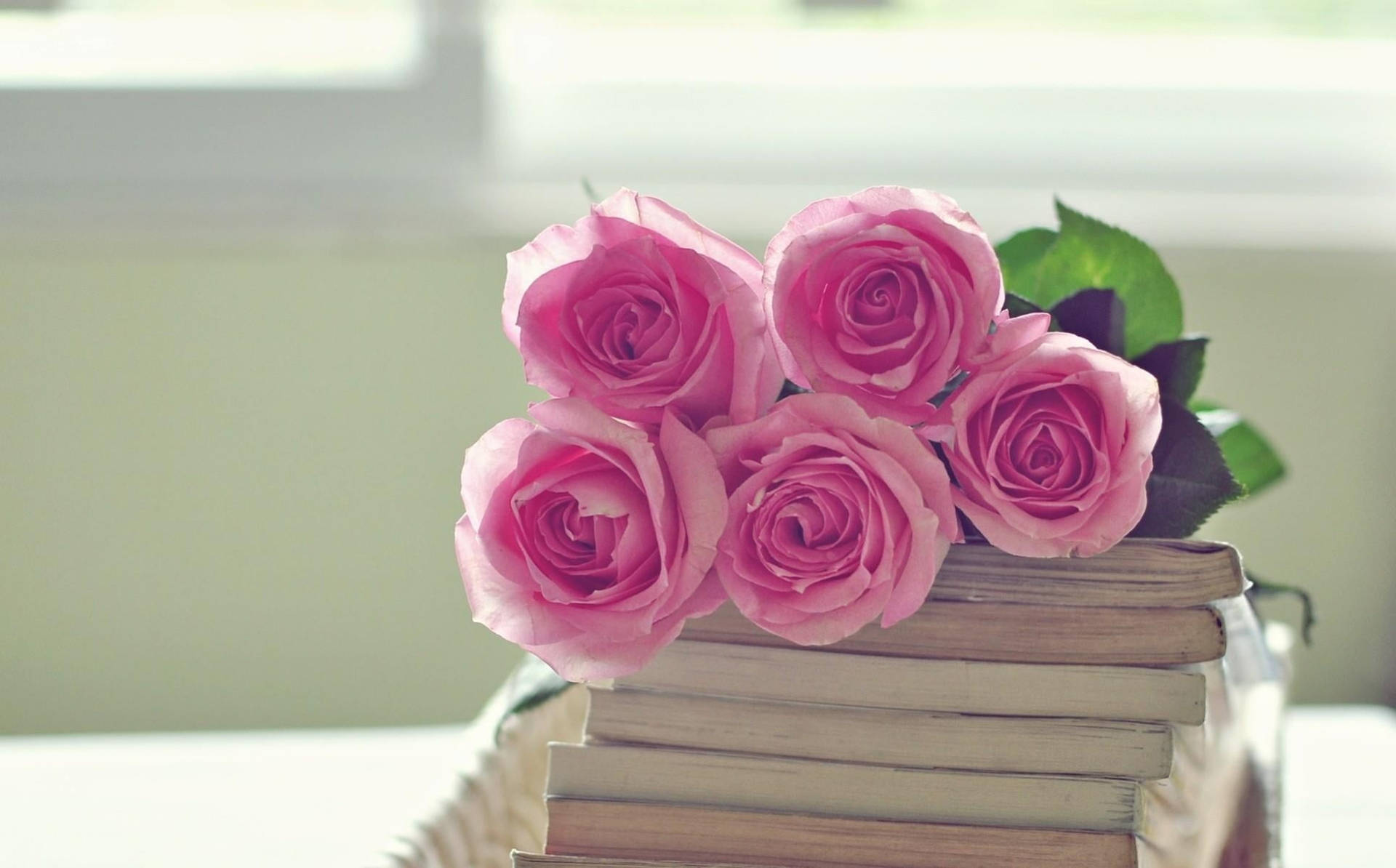 Aesthetic Photo Of Pink Roses And Books