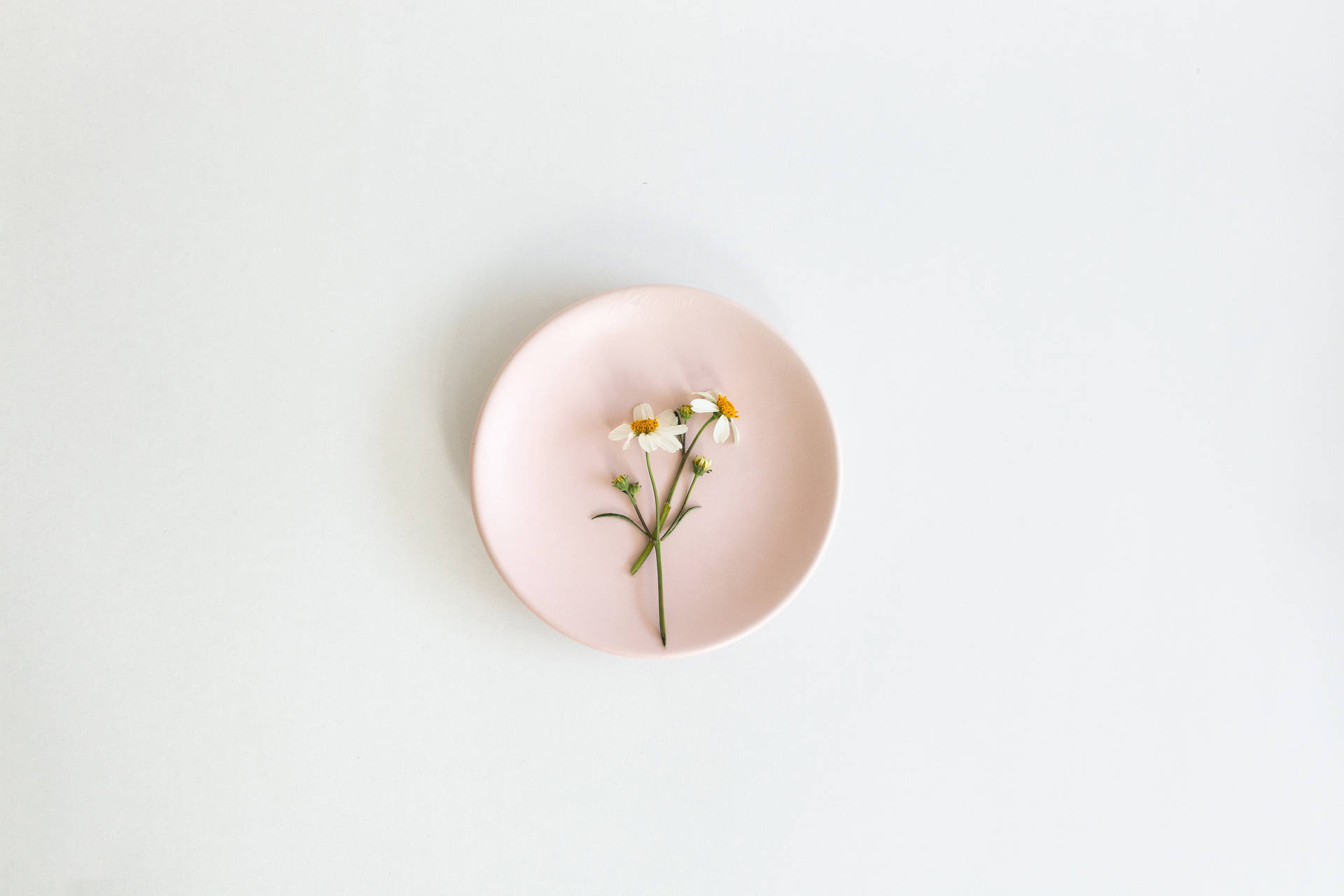 Aesthetic Pink Desktop Plate And Flower Background