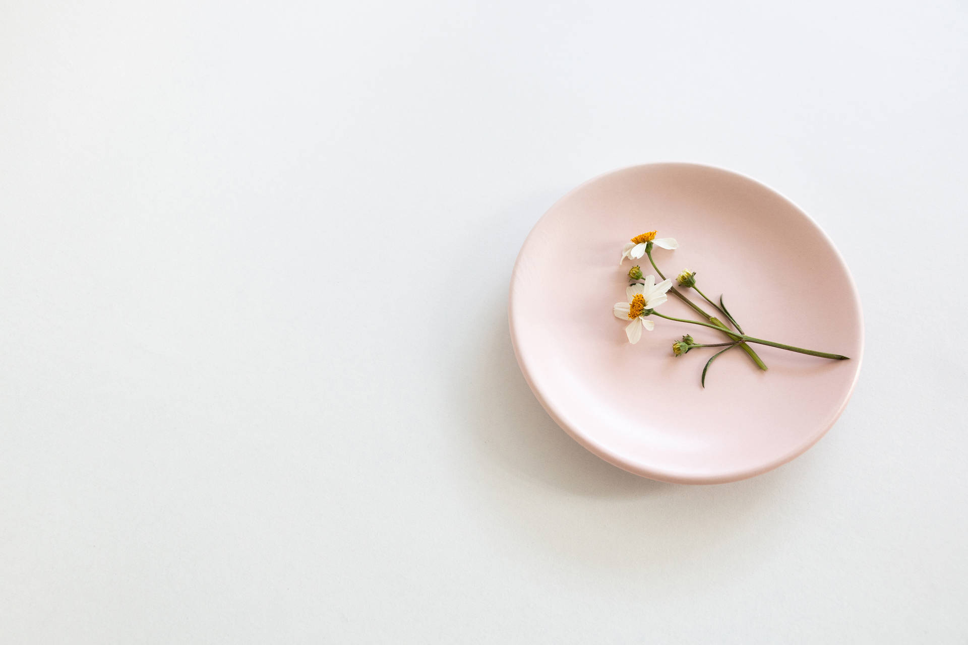 Aesthetic Pink Desktop Plate And Flowers Background