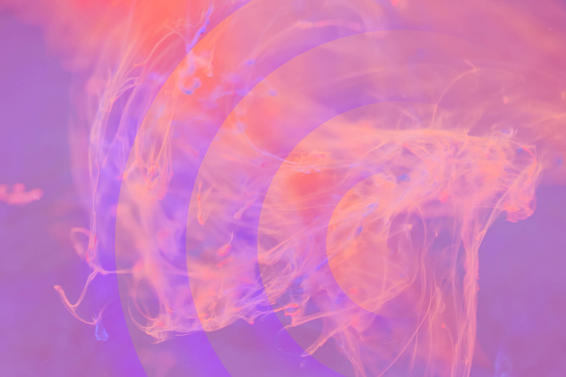 Aesthetic Pink Desktop Smoke Art Background