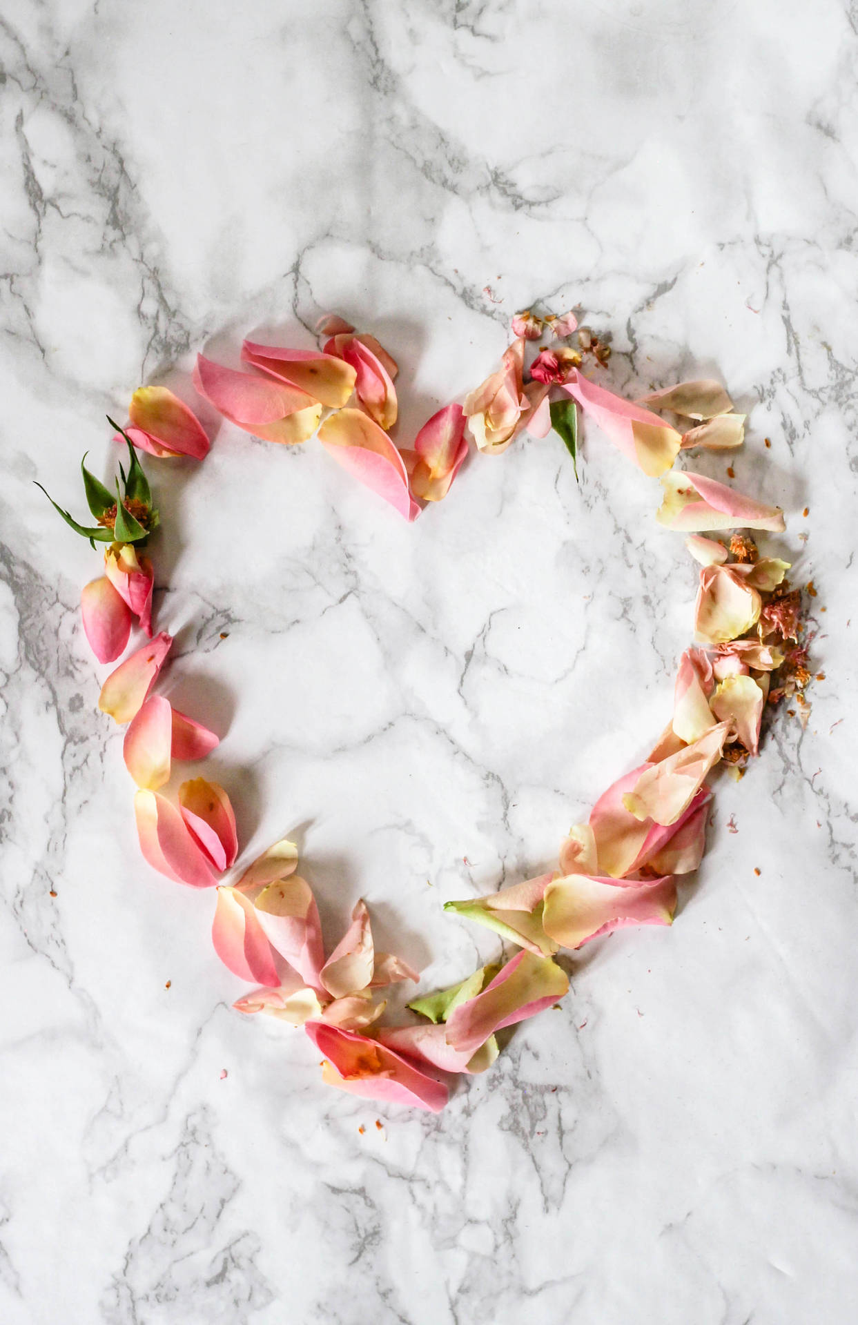 Aesthetic Pink Flower Heart Background