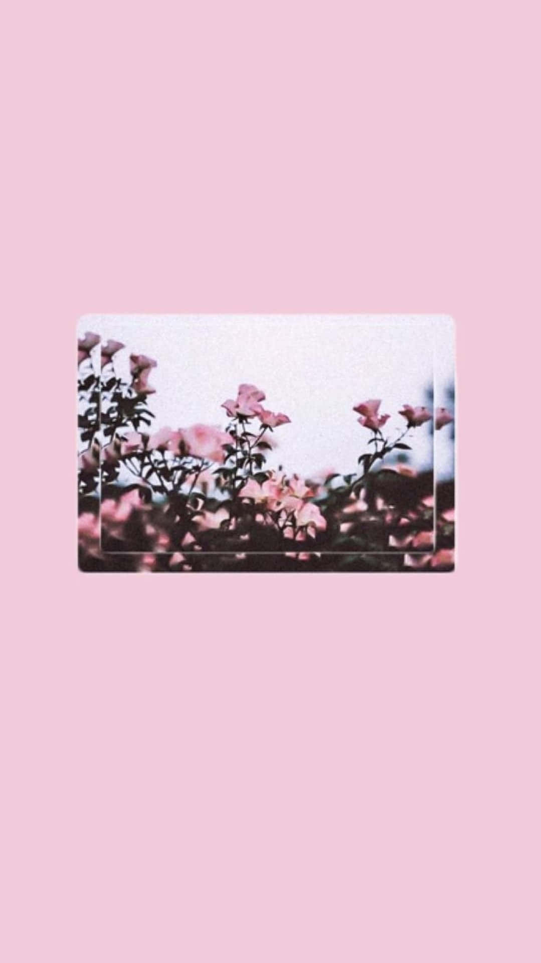 “aesthetic Pink Iphone Homescreen Overlay”