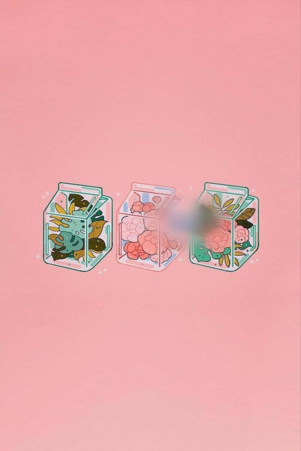 Aesthetic Pink Kawaii Boxed Plants And Flowers