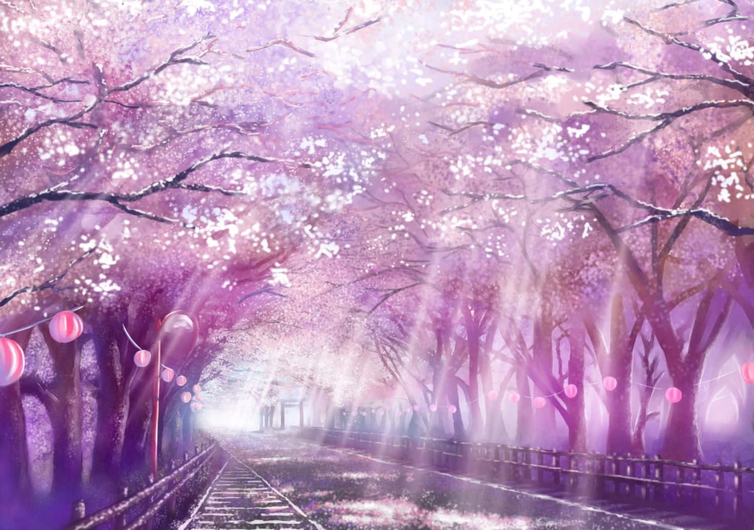 Aesthetic Pink Sakura Anime Trees Scenery Background