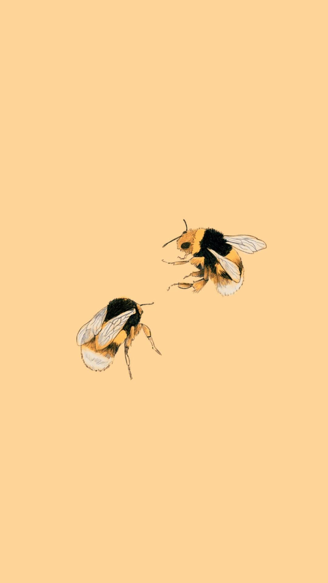 Aesthetic Profile Bees Background