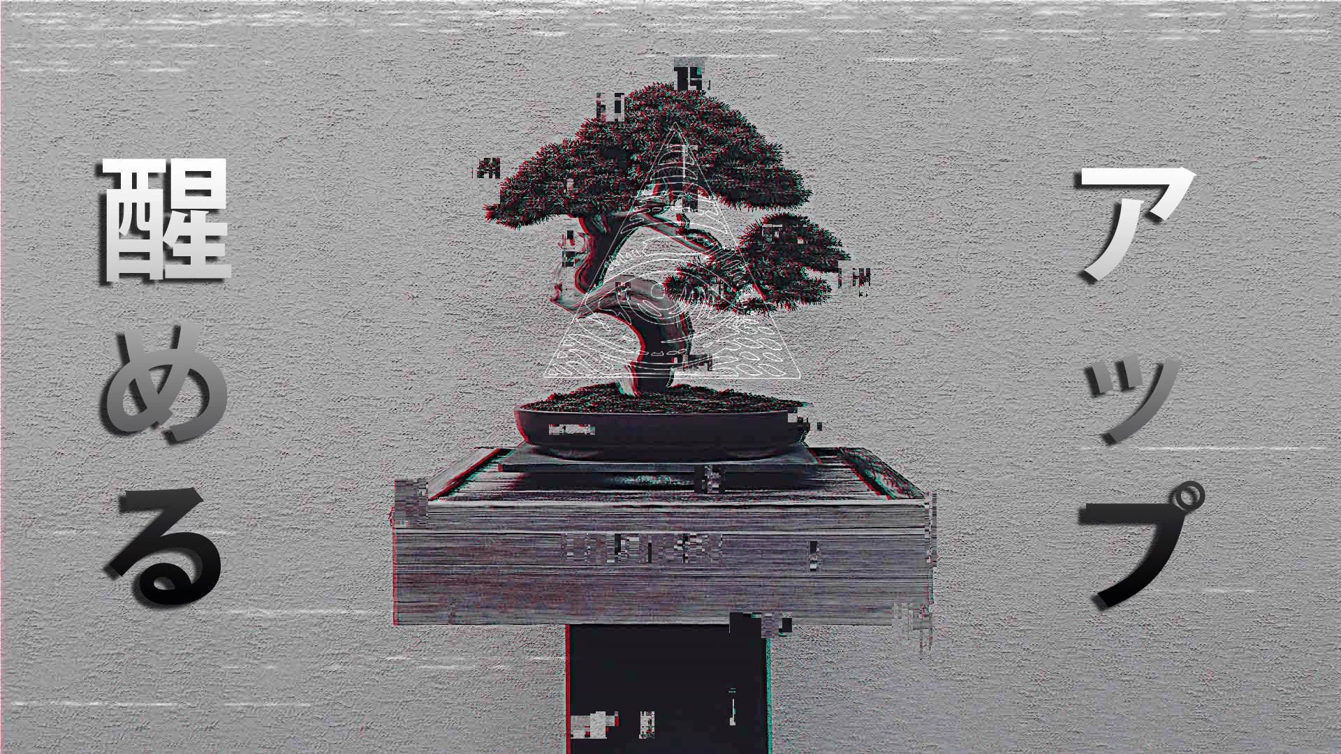 Aesthetic Profile Bonsai Tree Background
