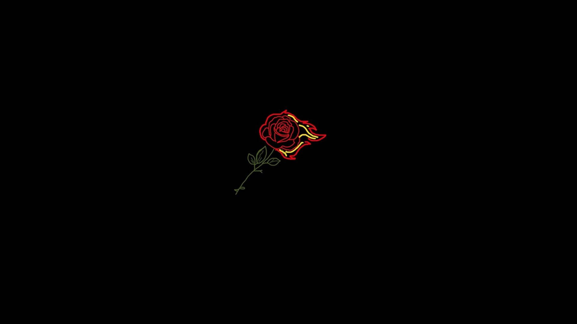 Aesthetic Profile Picture Of Red Rose