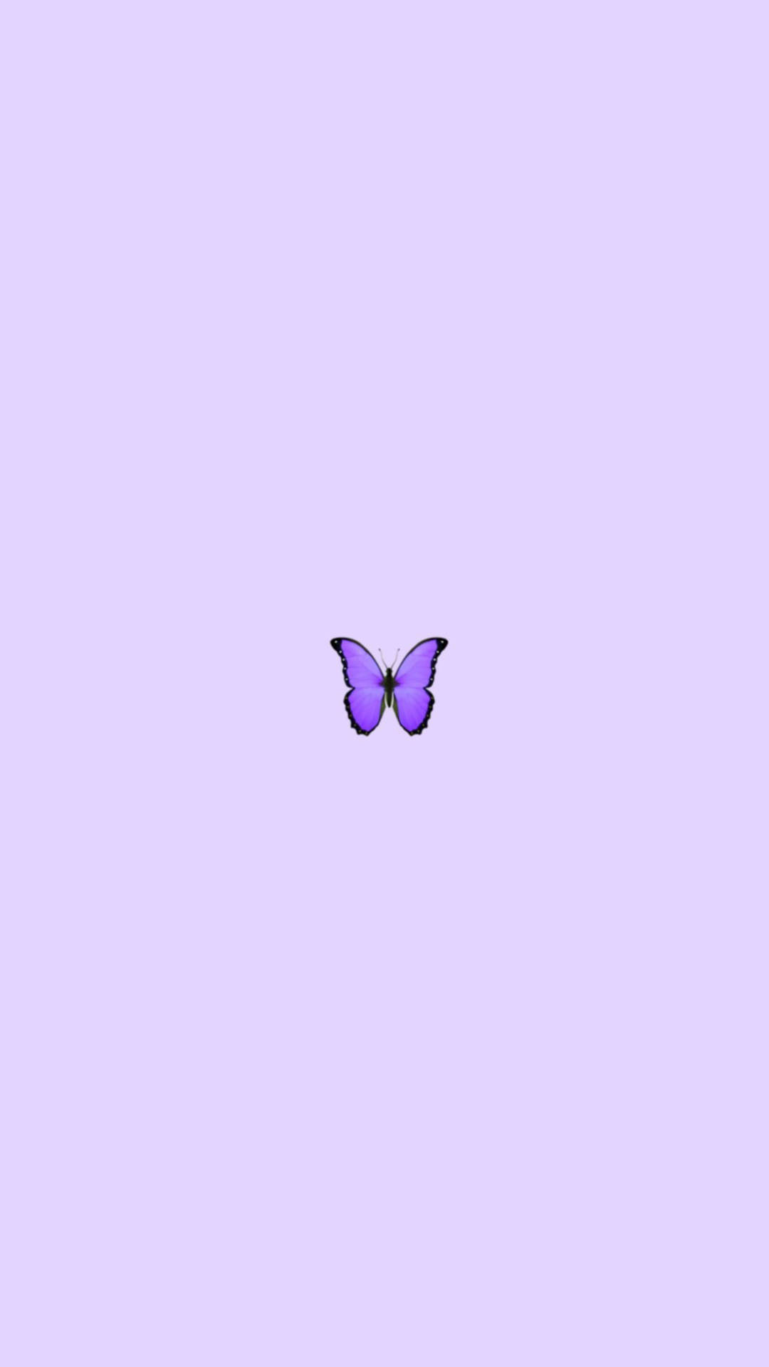 Aesthetic Purple Butterfly Phone Background Background