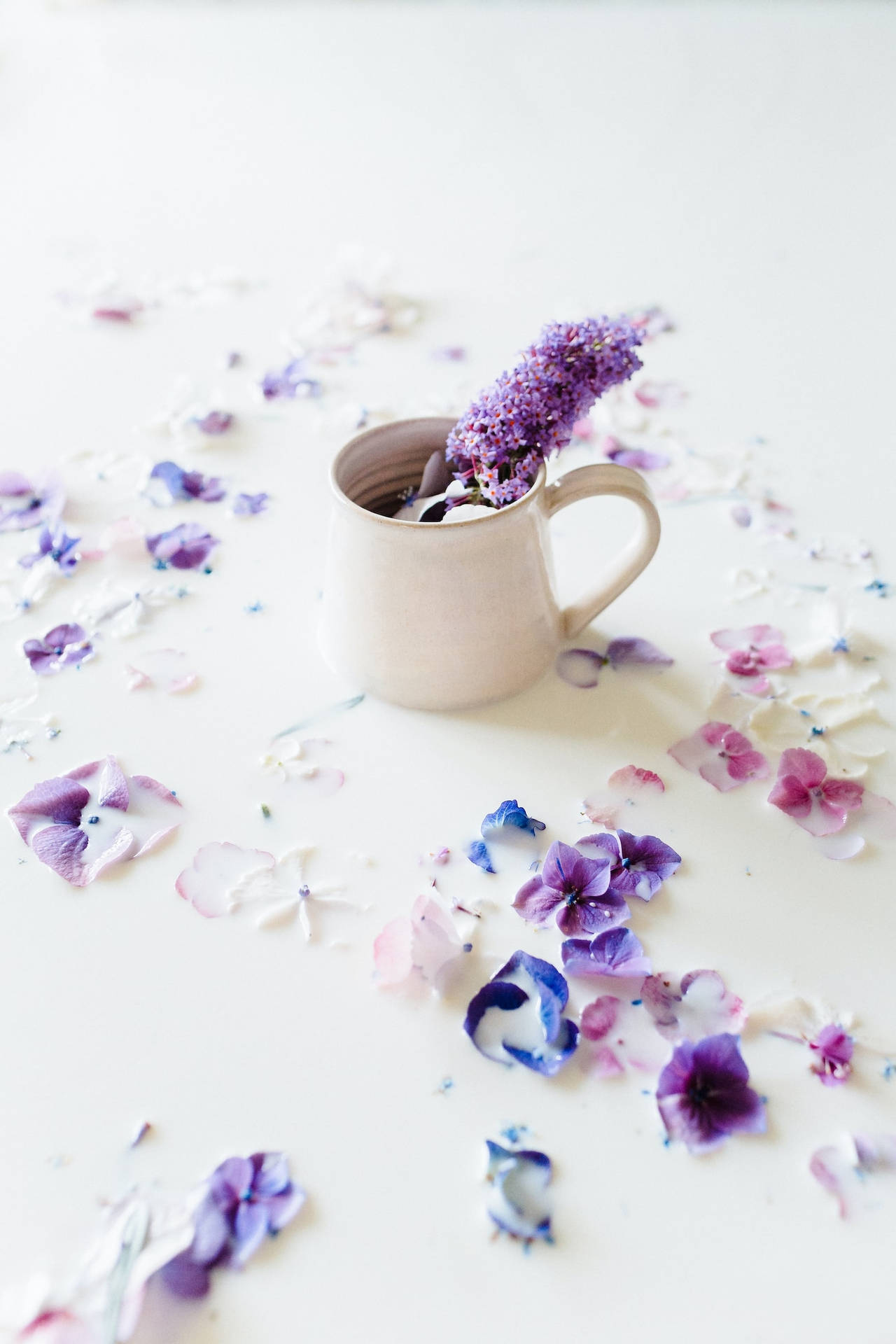 Aesthetic Purple Flowers Inside White Ceramic Mug Background