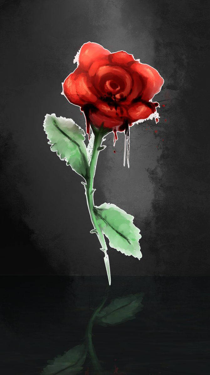 Aesthetic Red Rose Iphone Background
