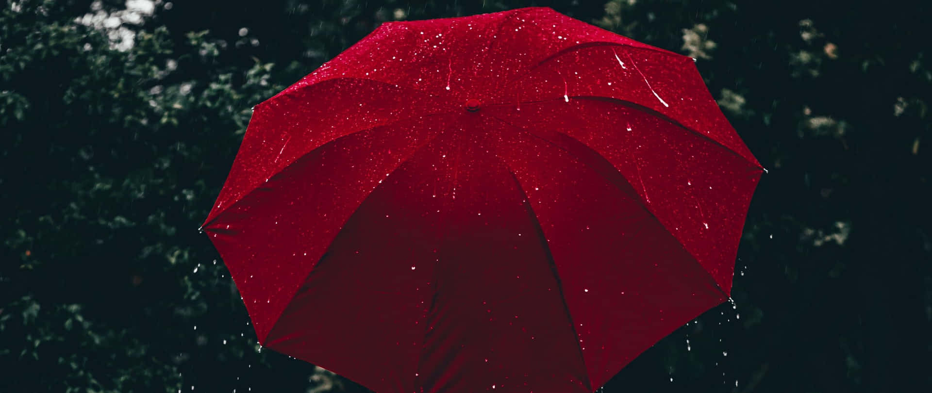 Aesthetic Red Umbrella In The Rain Background