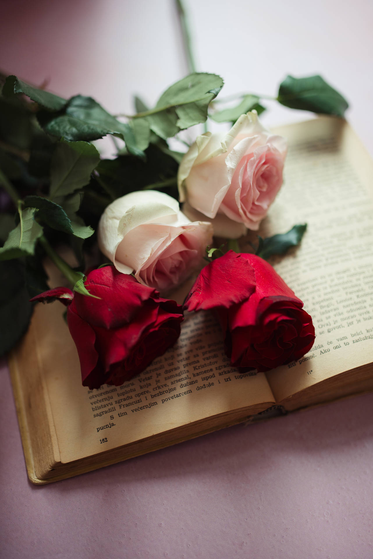 Aesthetic Rose Flowers On A Book Background