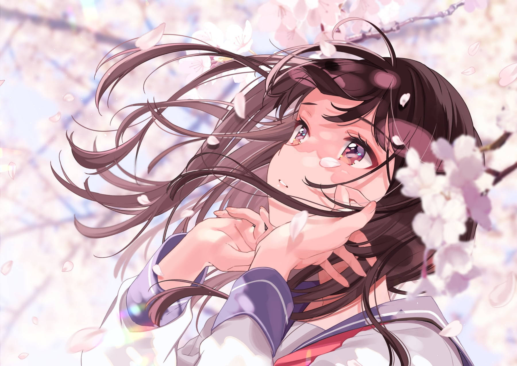 Aesthetic Sad Anime Girl Cherry Blossoms Background