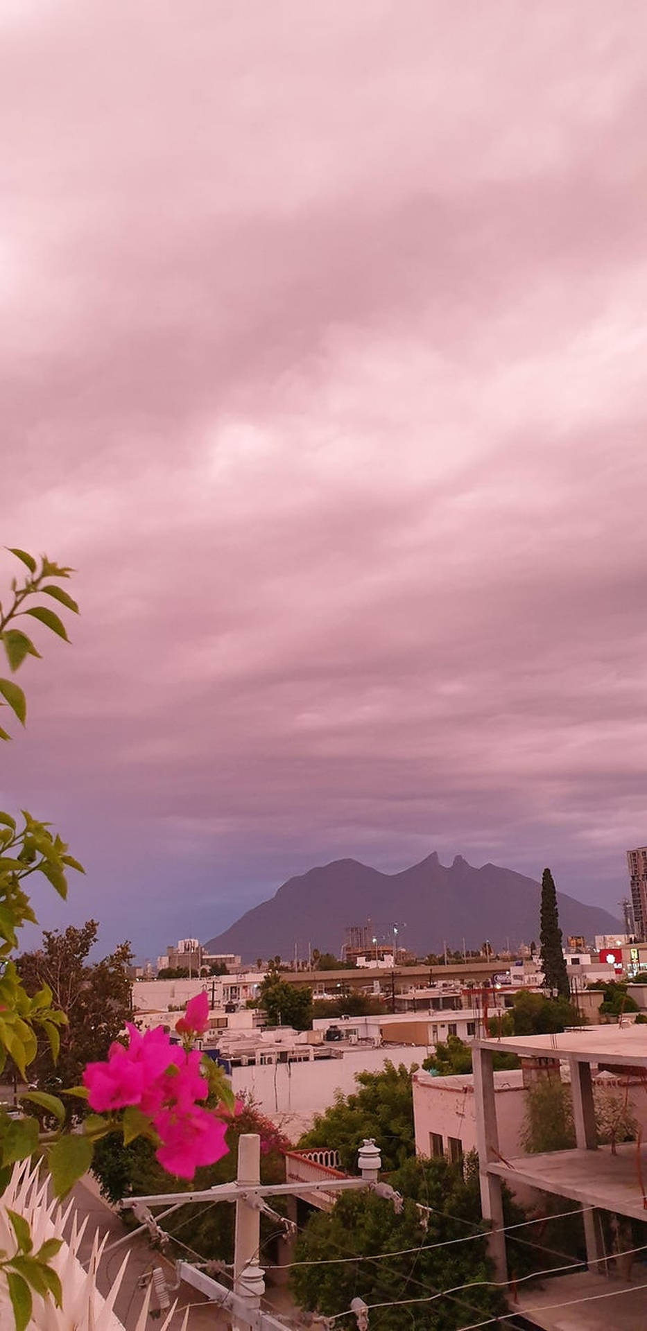 Aesthetic Shot Of Monterrey