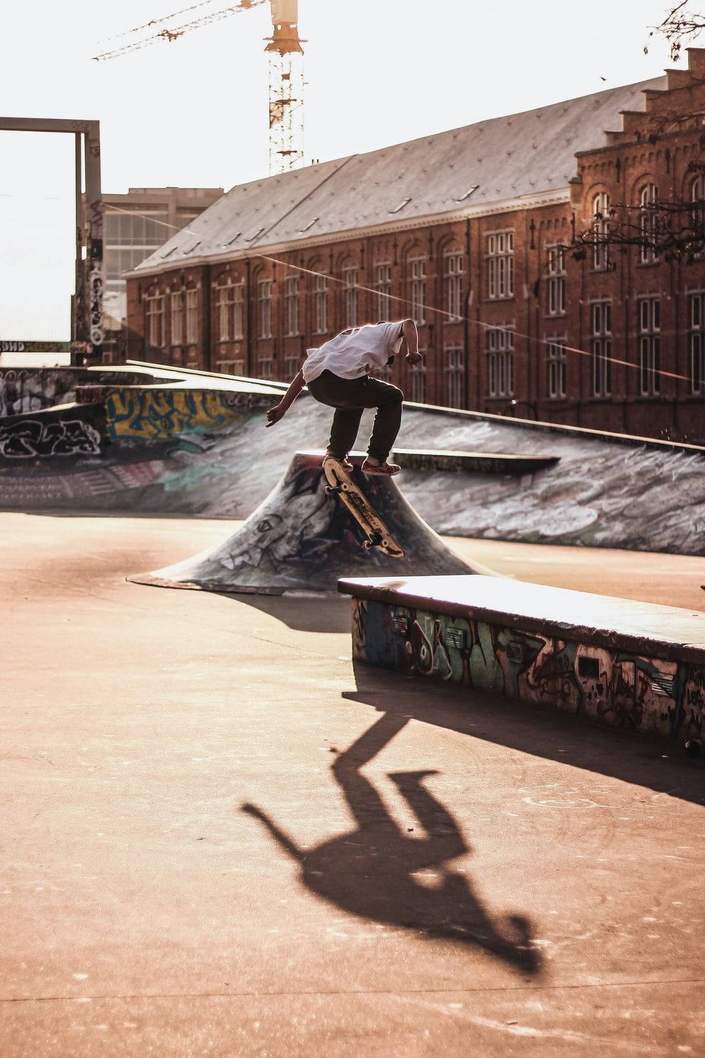 Aesthetic Skateboard Park