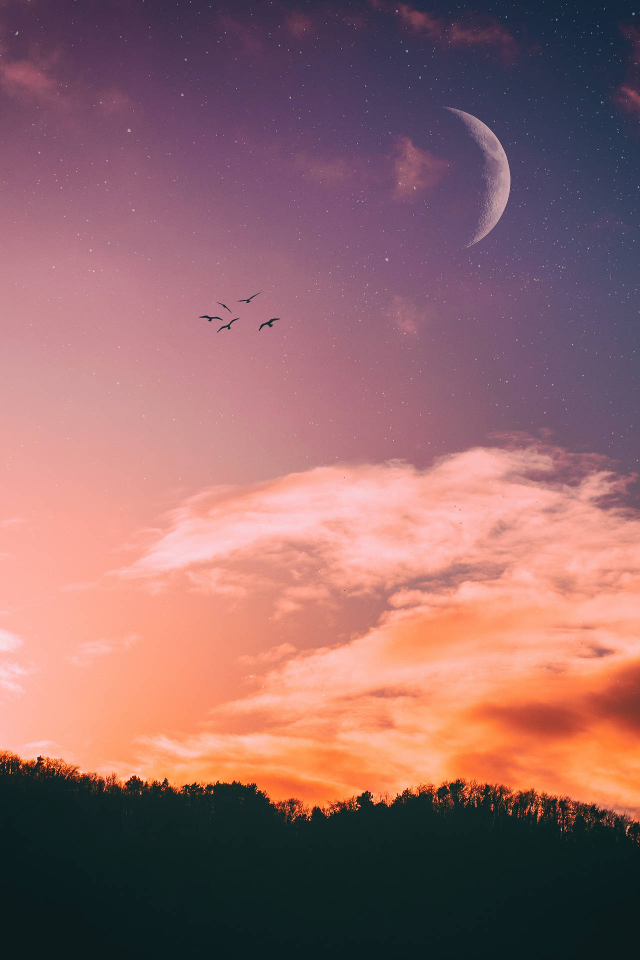 Aesthetic Sky And Crescent Moon With Birds Background