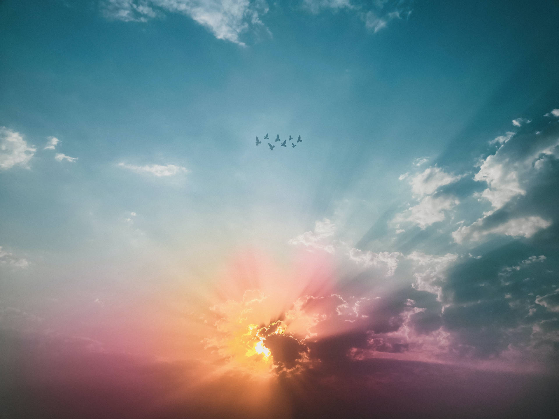 Aesthetic Sky Of Blue With Birds Background