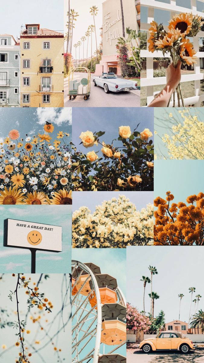 Aesthetic Spring Iphone Screen Theme Background